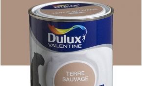 Terre De Couleur Meilleur De Peinture Brun Terre Sauvage Dulux Valentine Crème De