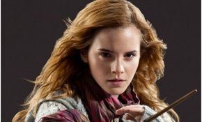 Test Harry Potter Nice which Female Harry Potter Character are You