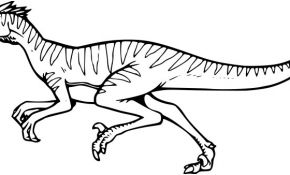 Triceratops Coloriage Élégant Coloriage Dinosaure Velociraptor à Imprimer