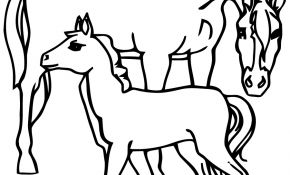 Youtube Coloriage Inspiration Youtube Coloriage Cheval