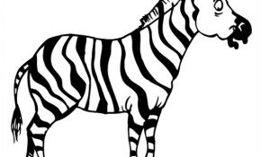 Zebre Coloriage Nice Dessin Zebre