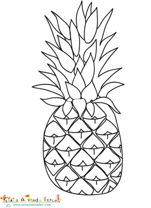 Ananas Coloriage Inspiration Pin Dessin Ananas A Colorier On Pinterest