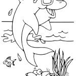 Coloriage À Imprimer Animaux Frais Dolphin With Glasses Animal Coloring Pages For Kids To