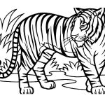 Coloriage À Imprimer Animaux Inspiration Animaux Sauvages De La Jungle 29 Animaux – Coloriages