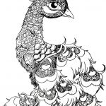 Coloriage À Imprimer Animaux Nice B&w Peacala Peacock Animal Bird Drawing Blackandwhite