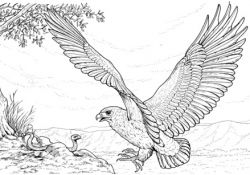 Coloriage Aigle Nouveau Coloriage Aigle Qui attaque Un Serpent