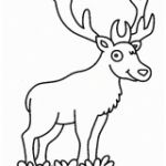 Coloriage Animaux De La Foret Élégant 鹿简笔画[6p] 动物简笔画 涂色图片 【宝宝吧】