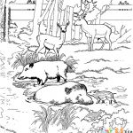 Coloriage Animaux Foret Luxe 野生动物园简笔画图片26张 第20张