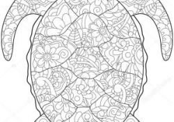 Coloriage Anti Stress Animaux tortue Frais Coloriage Animaux Anti Stress Neu Coloriage Anti Stress