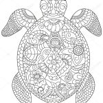 Coloriage Anti Stress Animaux Tortue Luxe Coloriage Anti Stress Tortue