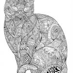 Coloriage Anti Stress Animaux Tortue Luxe Coloriage Chat Adulte Difficile Antistress Animaux