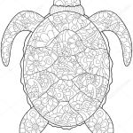 Coloriage Anti Stress Animaux Tortue Nice Coloriage Anti Stress Animaux Tortue Ohbqfo