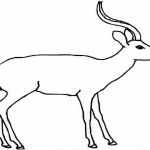 Coloriage Antilope Meilleur De Antilope 7 Animaux – Coloriages à Imprimer