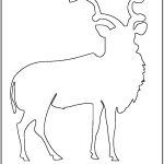 Coloriage Antilope Nouveau Antilope 36 Animaux – Coloriages à Imprimer