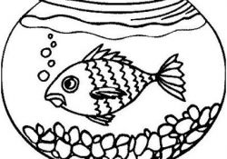 Coloriage Aquarium Génial Coloriages Poissons Et Aquariums Page 1 Animaux