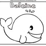 Coloriage Baleine Unique Coloriage Baleine
