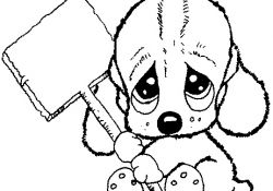 Coloriage Chien Élégant Tininha Bordados Cachorrinho Triste