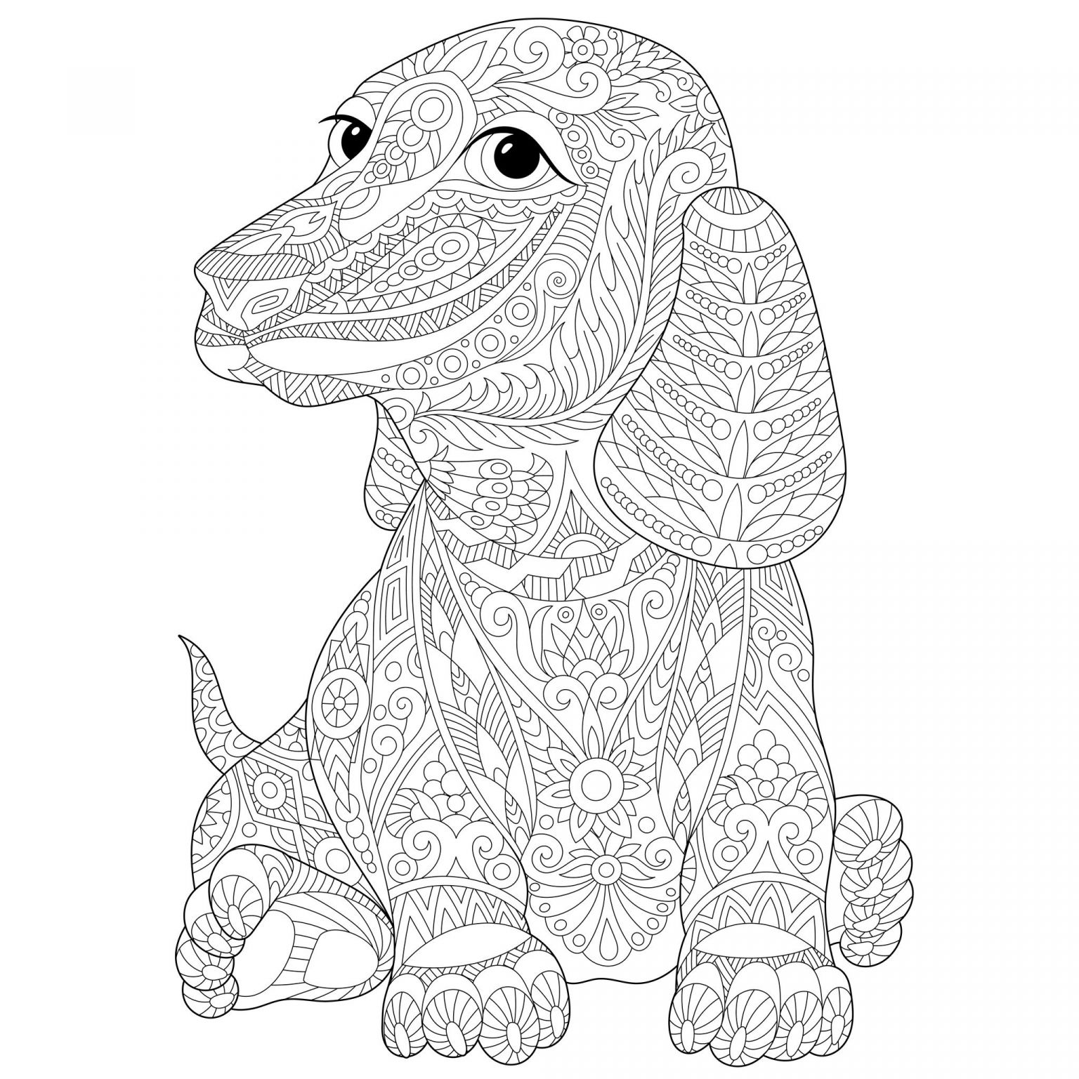 Coloriage Chiens Nice Chien Teckel Dogs Adult Coloring Pages