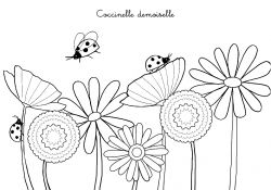 Coloriage Coccinelle Luxe Coloriage Chanson Coccinelle Demoiselle