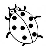 Coloriage Coccinelle Nice Coloriage Animaux Des Airs