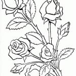 Coloriage De Fleurs À Imprimer Génial Imprime Le Dessin à Colorier De Fleur