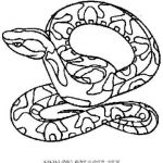 Coloriage De Serpent Luxe Coloriages Serpents Page 1 Animaux