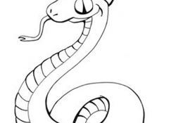 Coloriage De Serpent Nice Coloriage Serpent à Imprimer Gratuitement