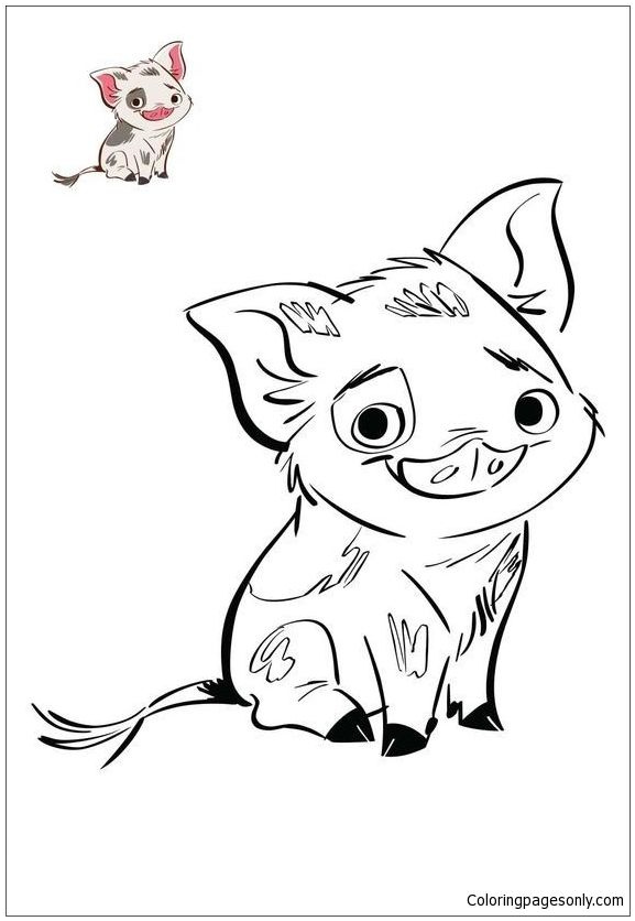 Coloriage Disney Vaiana Unique Pua Pig From Moana 4 Coloring Page