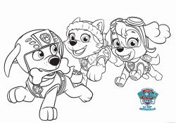 Coloriage Everest Élégant Download 70 Tracker Pat Patrouille