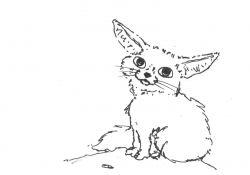 Coloriage Fennec Unique Coloriage Fennec Awesome Les Animaux Colorier Le Blog De