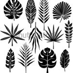 Coloriage Feuille Tropicale Inspiration Tropical Leaf Stock Vector Shutterstock