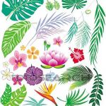 Coloriage Feuille Tropicale Nouveau Clipart Feuille Tropicale Et Fleurs K