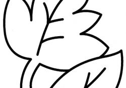 Coloriage Feuilles Nice Coloriage Automne Arbe Feuille D Automne Dessin Apsip