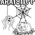 Coloriage Halloween Gratuit Unique Coloriage Araignée Halloween à Imprimer