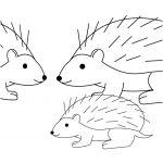 Coloriage Herisson Inspiration Nazo The Hedgehog Coloring Pages Coloring Pages