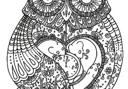 Coloriage Hibou Mandala Unique Free Coloring Page Coloring Adult Big Owl Pretty Owl Full