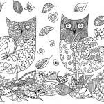 Coloriage Hiboux Meilleur De 1000 Images About Coloring Owls On Pinterest