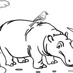 Coloriage Hippopotame Luxe Printable Hippo Coloring Pages For Kids
