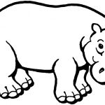 Coloriage Hippopotame Nice Coloring Page Hippo