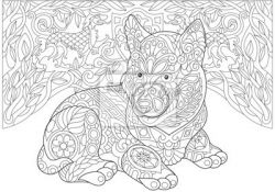 Coloriage Husky Nice Chien Husky Coloriage Ohbqfo