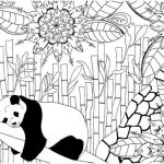 Coloriage Kawaii Panda Meilleur De Pocket Size Handpainted Black Moleskine Journal With White