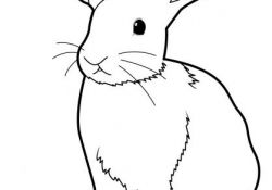 Coloriage Lapins Luxe Coloriage Lapin 3 Coloriage Pinterest
