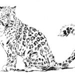Coloriage Leopard Luxe Léopard 13 Animaux – Coloriages à Imprimer