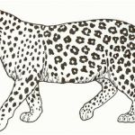Coloriage Leopard Nice Coloring Cheetah Animal Cartoon Cheetah Coloring Pages