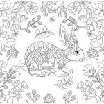 Coloriage Mandala Lapin Nice Les 231 Meilleures Images Du Tableau Coloring Rabbit Sur