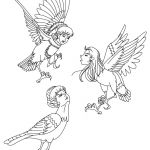 Coloriage Mythologie Grecque Nice Coloriages Coloriage Les 3 Harpies Fr Hellokids