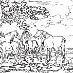 Coloriage Nature Meilleur De Mares and Foals In A River Landscape by George Stubbs