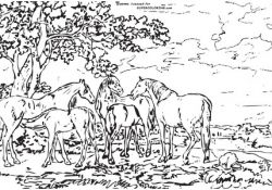 Coloriage Nature Meilleur De Mares and Foals In A River Landscape by George Stubbs