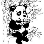 Coloriage Panda Élégant Imprime Le Dessin à Colorier De Panda