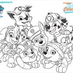Coloriage Paw Patrol Luxe 1 2 3 Coloriage